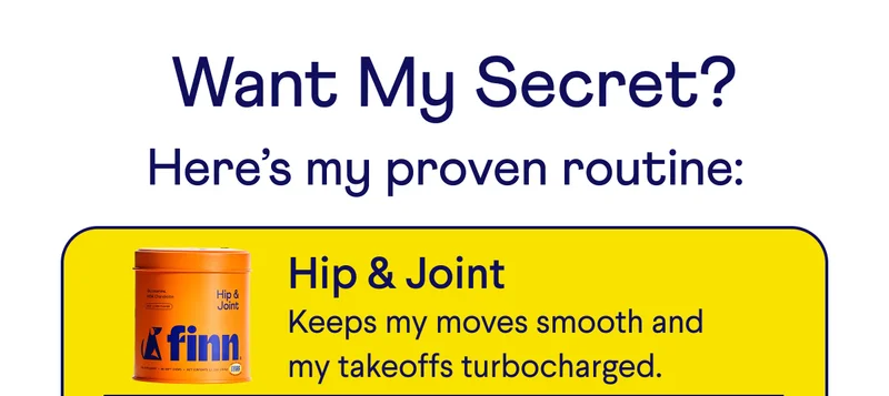 Text: What My Secret? Here's My Proven Routine: Hip & Joint – Keeps my moves smooth and my takeoffs turbocharged.