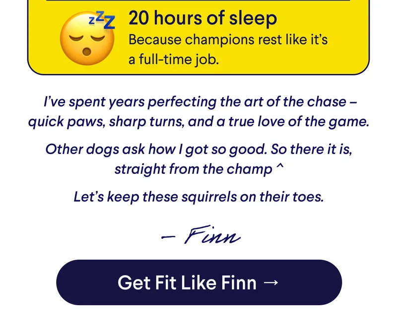 Text:  20 hours of sleep Because champions rest like it’s a full-time job. &nbsp;I’ve spent years perfecting the art of the chase – quick paws, sharp turns, and a true love of the game.  Other dogs ask how I got so good. So there it is, straight from the champ ^  Let’s keep these squirrels on their toes. – Finn. CTA: Get Fit Like Finn –>
