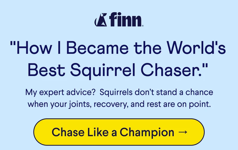 Finn logo. Header: "How I Became the World's Best Squirrel Chaser." Text: My expert advice?&nbsp; Squirrels don’t stand a chance when your joints, recovery, and rest are on point. &nbsp;CTA: Chase Like a Champion →