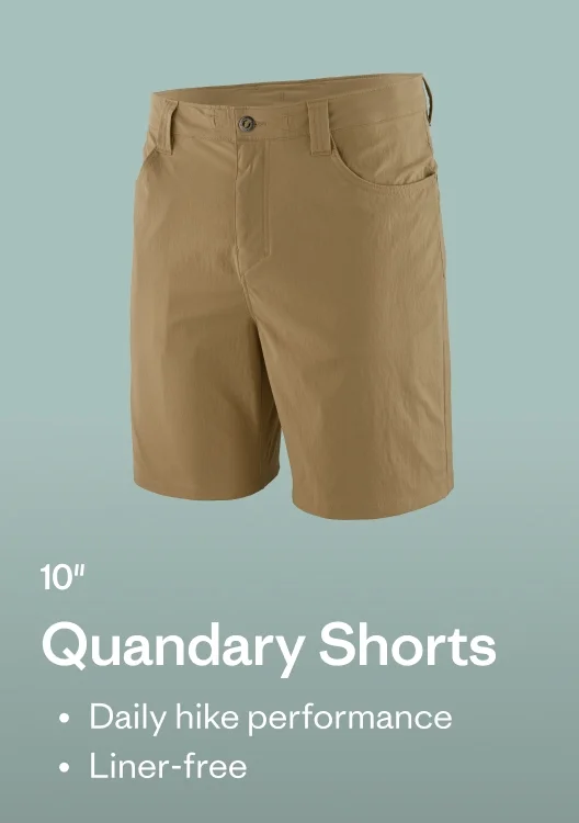 Quandary Shorts