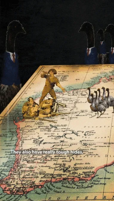 A moving GIF of a woman explaining Australia’s war against emus.
