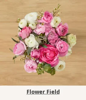 Flowers At a Great Price