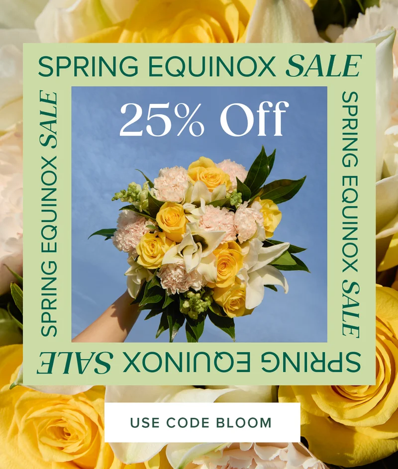 Spring Equinox Sale: 25% OFF Sitewide. Use code BLOOM