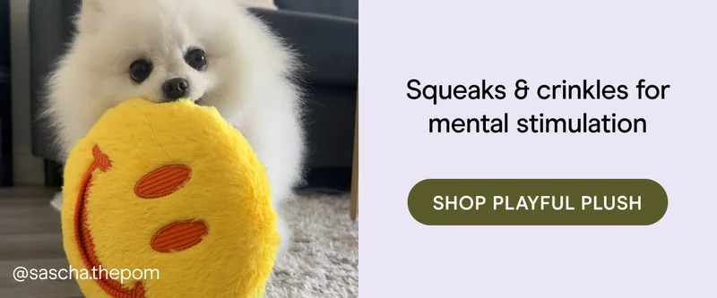squeaks & crinks for mental stimulation