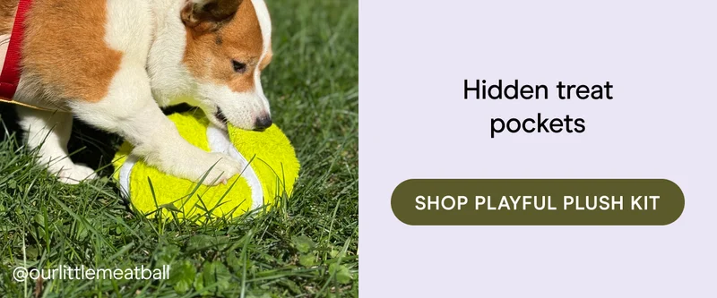 hidden treat pockets