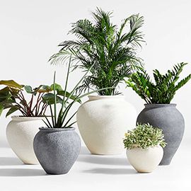 Ophelia Planters