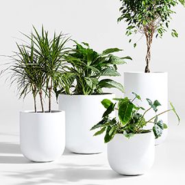 Junio Round White Planters