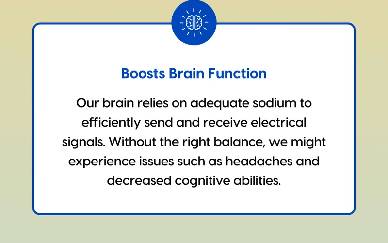 Boosts Brain Function