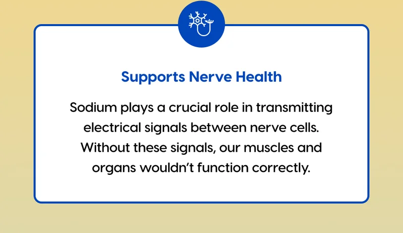 Supports Nerve Health