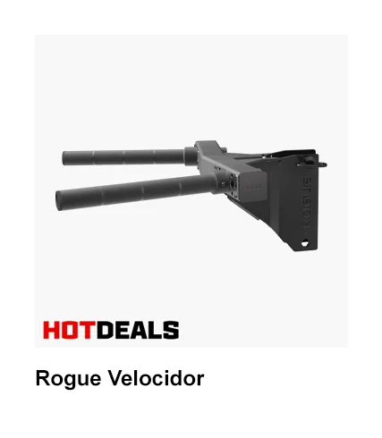 Rogue Velocidor