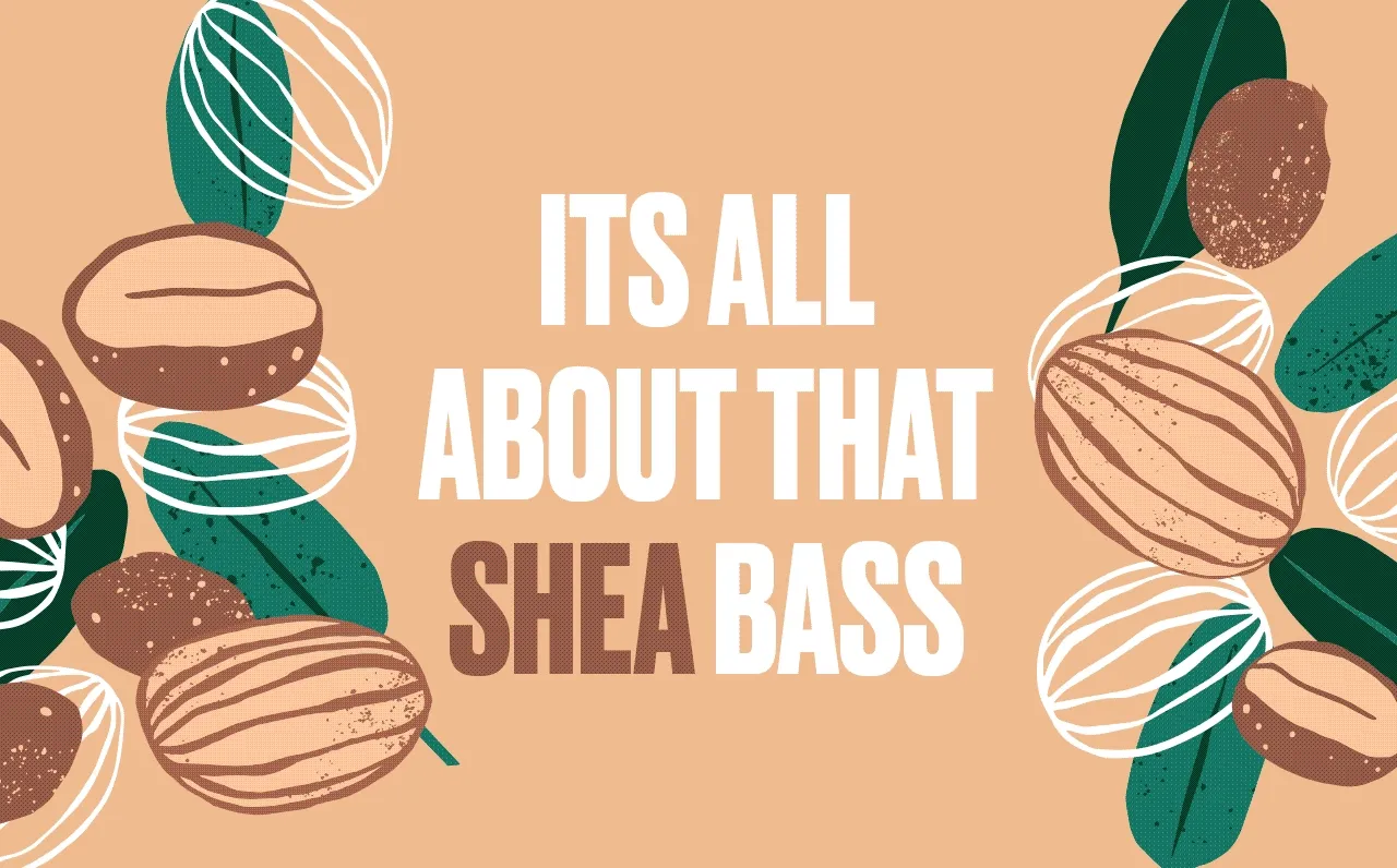 Shea Bass