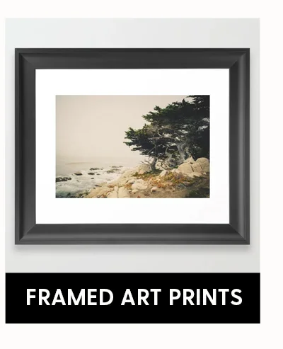 Shop Framed Art Prints