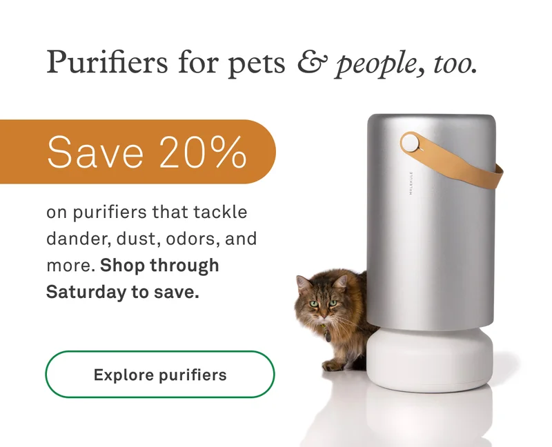 Save 20% off through Saturday + get a free pet toy