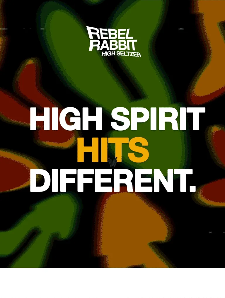 Rebel Rabbit: High Spirit Hits Different