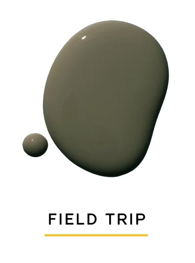 FIELD TRIP