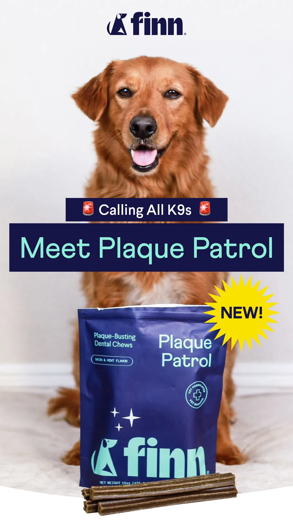 🚨 NEW! Calling All K9s 🚨 Meet Plaque Patrol