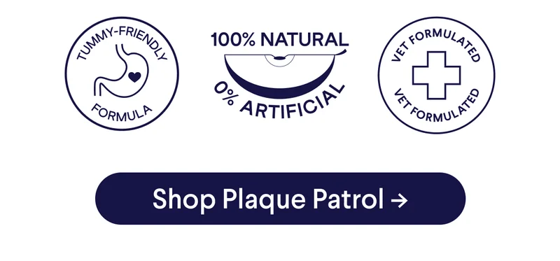 Tummy-Friendly Formula; 100% Natural + 0% Artificial; Vet Formulated | Shop Plaque Patrol –>