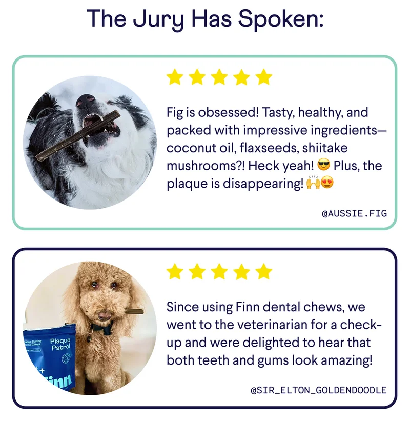 The Jury Has Spoken: "Fig is obsessed! Tasty, healthy, and packed with impressive ingredients—coconut oil, flaxseeds, shiitake mushrooms?! Heck yeah! 😎 Plus, the plaque is disappearing! 🙌😍" – @aussie.fig; "Since using Finn dental chews, we went to the veterinarian for a check-up and were delighted to hear that both teeth and gums look amazing!" –@sir_elton_goldendoodle