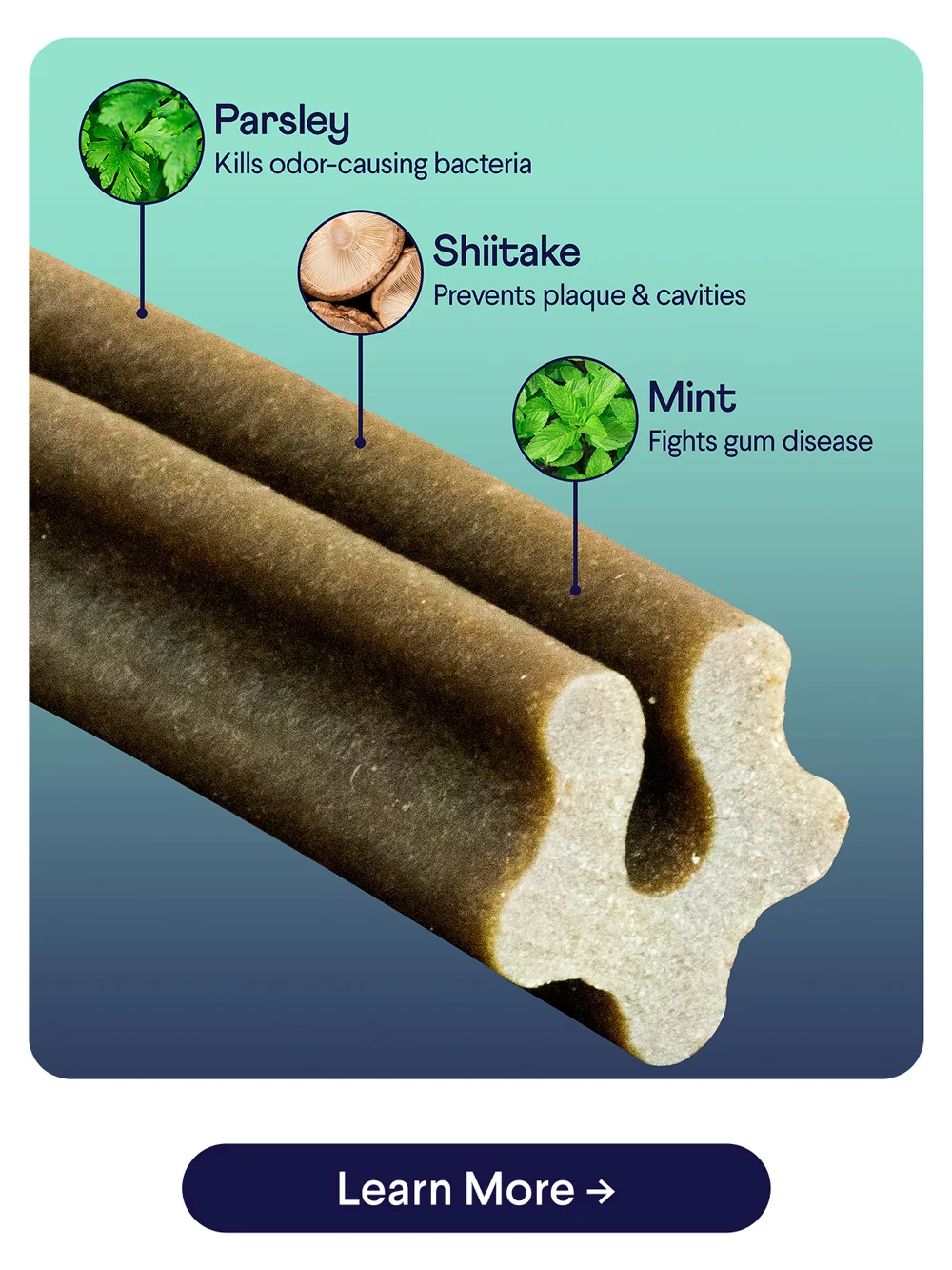 Parsley: Kills odor-causing bacteria, Shittake: Prevents plaque & cavities, Mint: Fights gum disease | Learn More –>