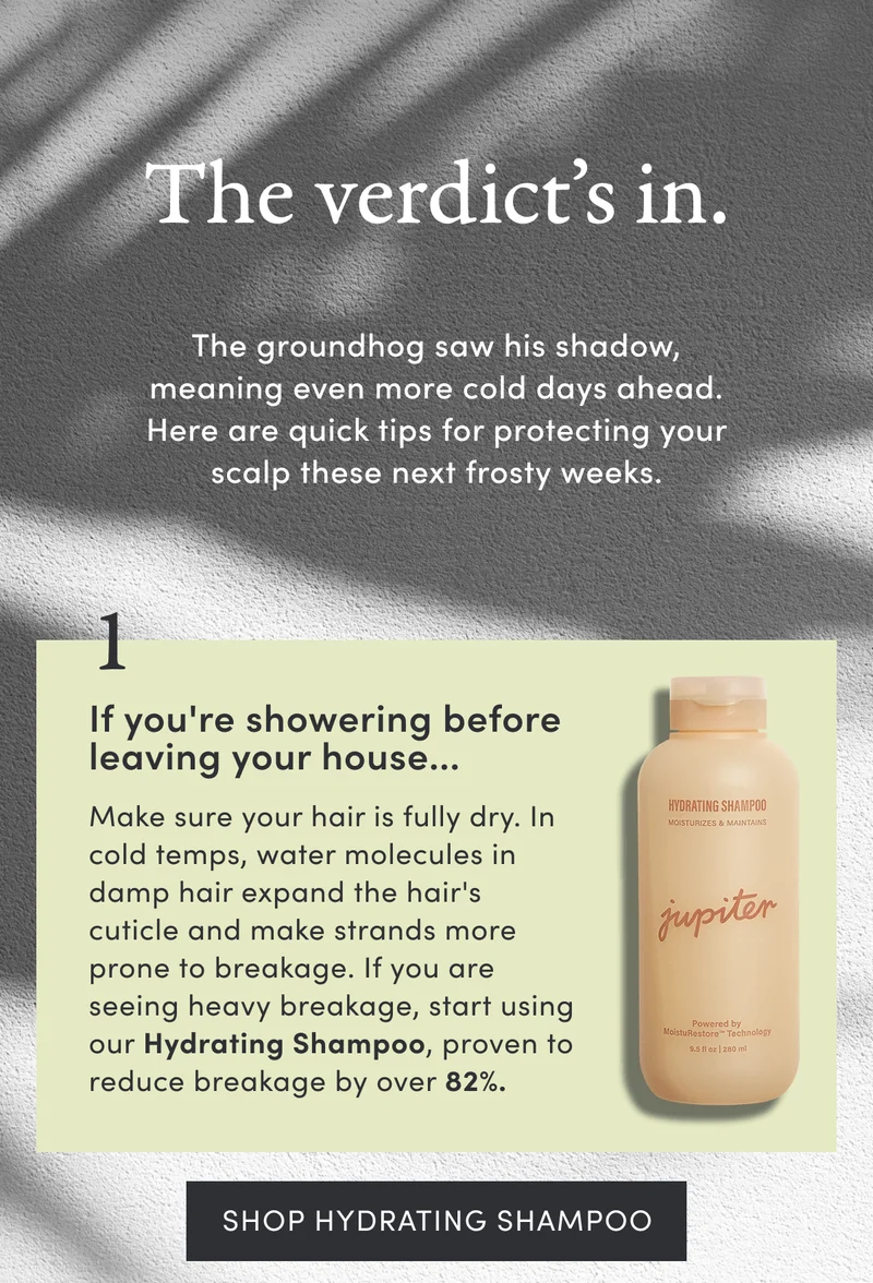 The verdict's in. | The groundhog saw his shadow, meaning even more cold days ahead. Here are quick tips for protecting your scalp these next frosty weeks. | 1. If you're showering before leaving your house.. Make sure your hair is fully dry. In cold temps, water molecules in damp hair expand the hair's cuticle and make strands more prone to breakage. if you are seeing heavy breakage, start using our Hydrating Shampoo, proven to reduce breakage by over 82%. | Shop Hydrating Shampoo