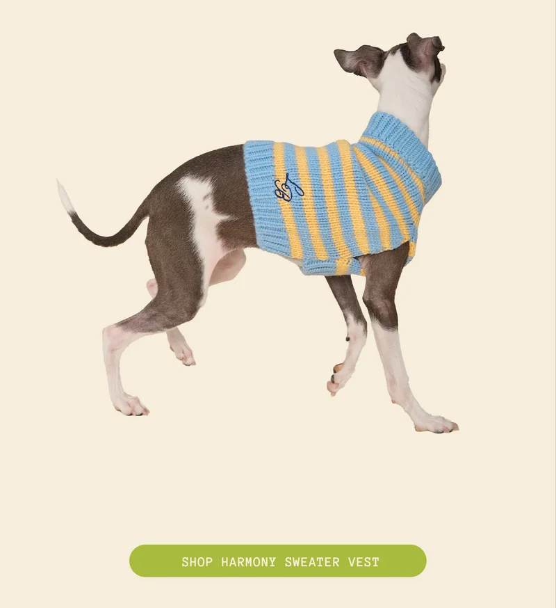 Harmony Sweater