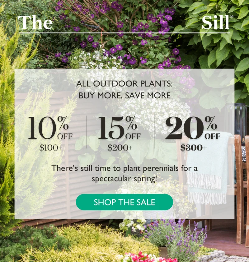 Plant perennials this fall for a spectacular spring! For a limited time only, get up to 20% off our entire collection of outdoor plants for your garden and patio. Not sure what to plant? Give us a ring! 888-974-2079.