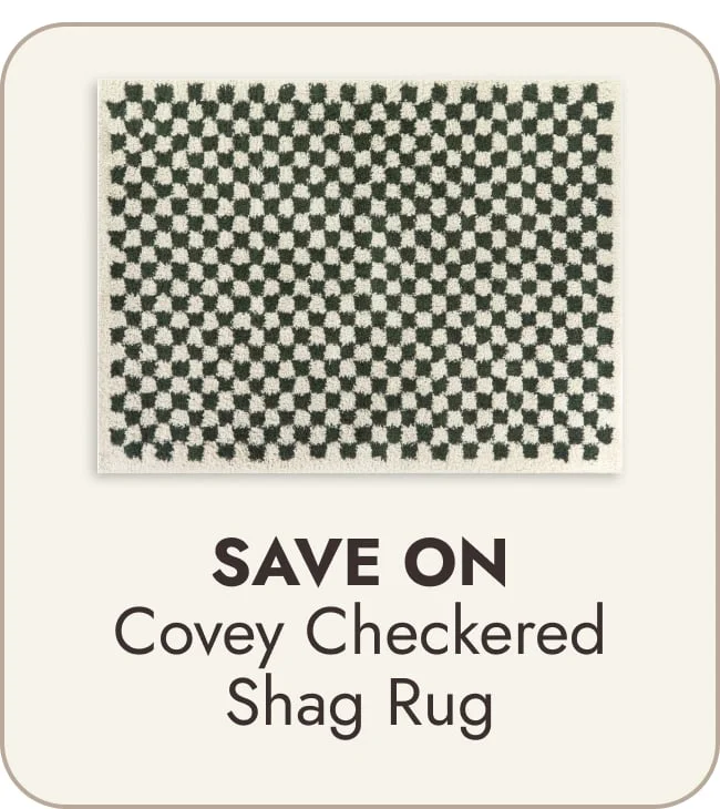 Covey Plush Checkered Thick Shag Area Rug