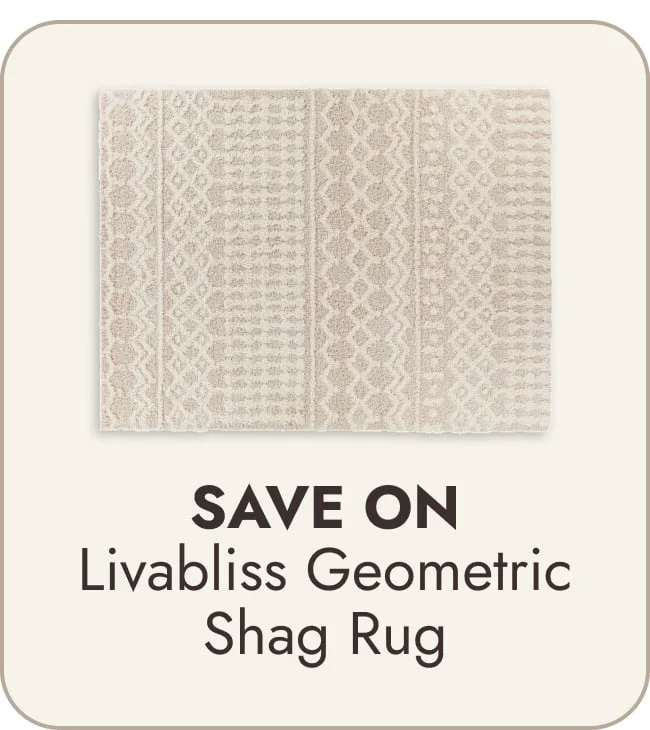 Livabliss Newton Geometric Moroccan Trellis Shag Area Rug