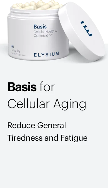 Basis for Cellular Aging