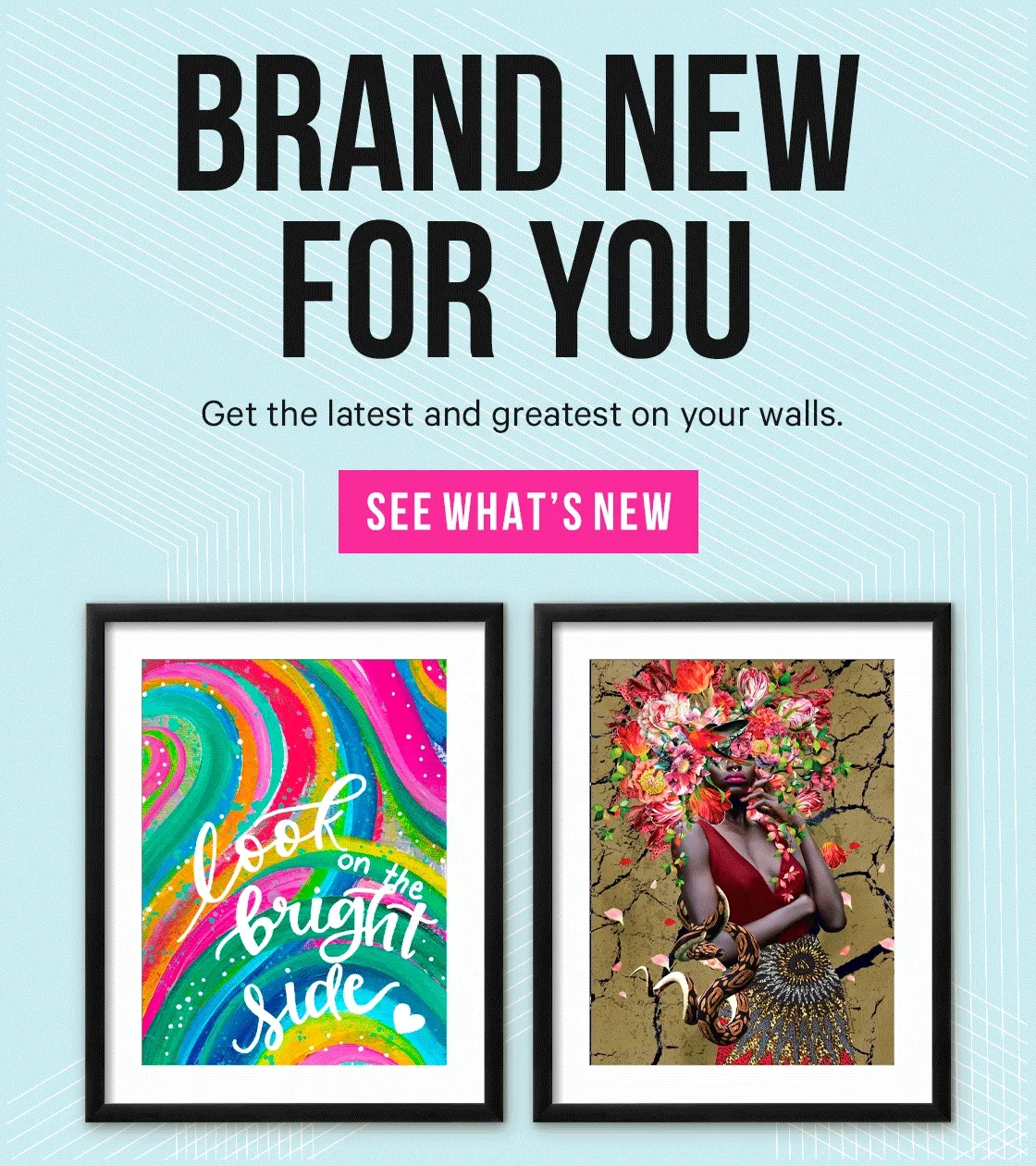Brand New for You: Get the latest and greatest on your walls.