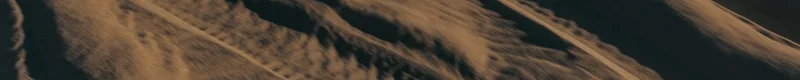 California Dune