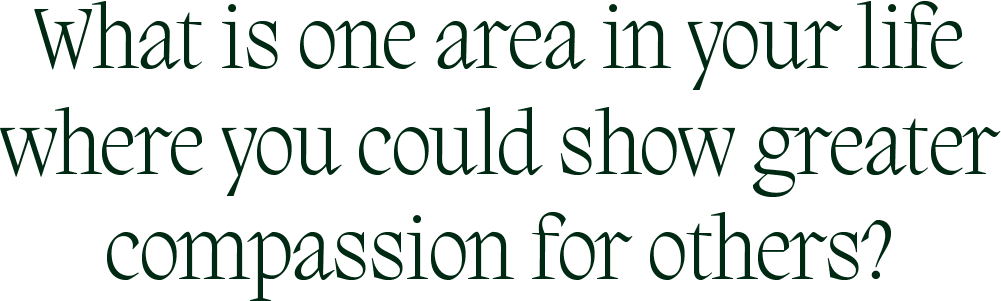 What is one area in your life where you could show greater compassion for others?