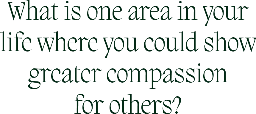What is one area in your life where you could show greater compassion for others?