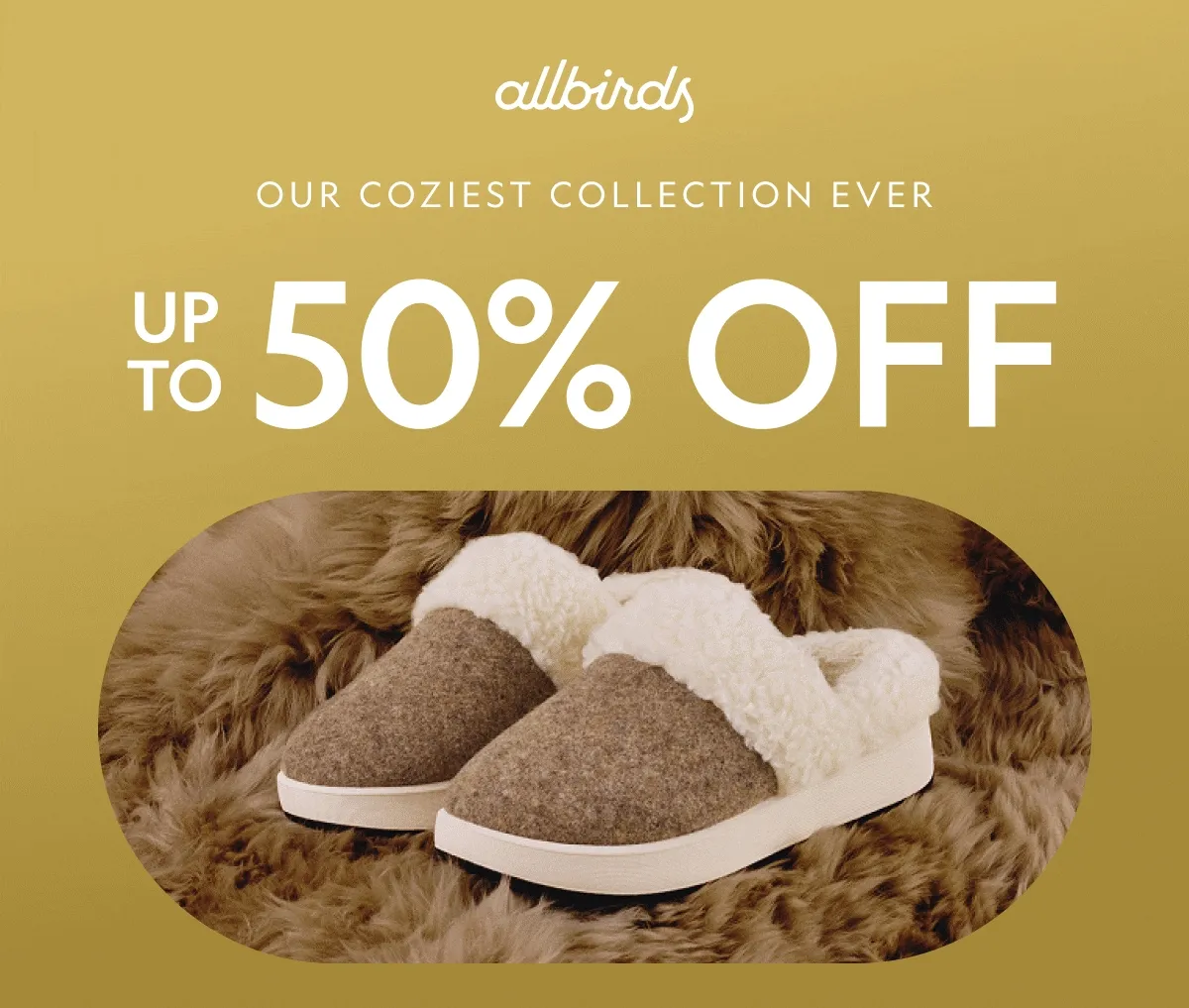 Cyber Monday Sale