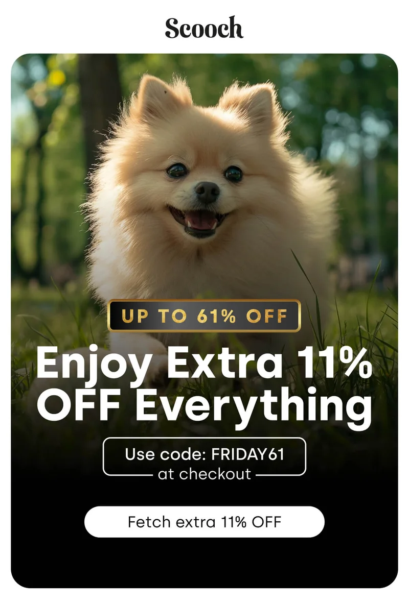 Enjoy Extra 11% OFF Everything - Up to 61% OFF! - Fetch extra 11% OFF