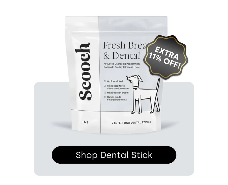 Shop Dental Sticks - Extra 11% OFF!