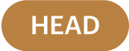 HEAD