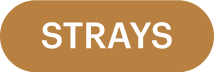 STRAYS