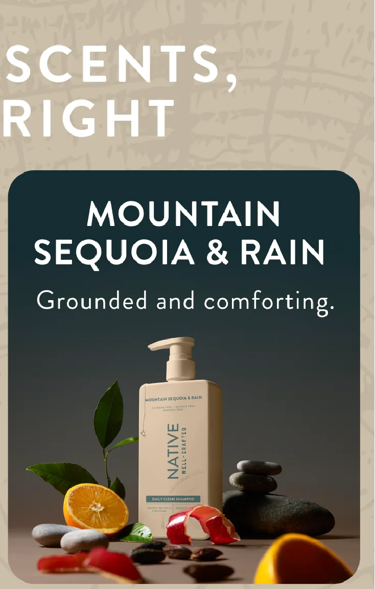 Mountain Sequoia & Rain  / Grounded and comforting.