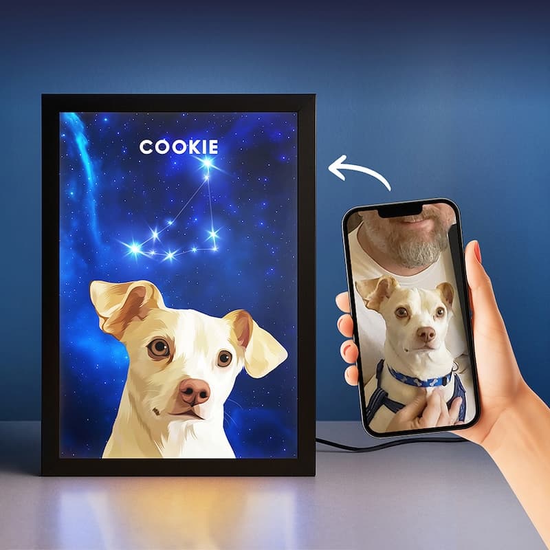 Constellation Pet Portrait Night Light.