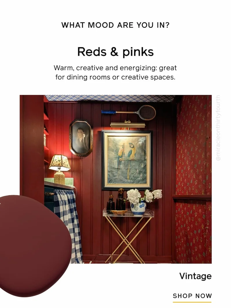 WHAT MOOD ARE YOU IN? Reds & pinks. Warm, creative and energizing: great for dining rooms or creative spaces. Vintage SHOP NOW
