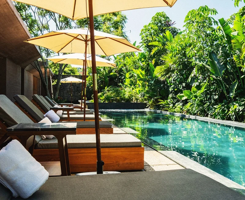 Image Description: Lounge chairs and umbrellas by a pool surrounded by green trees and plants.