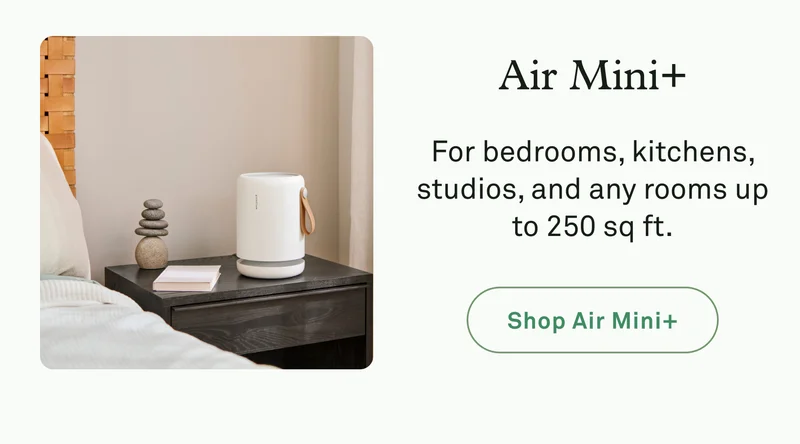 Air Mini+