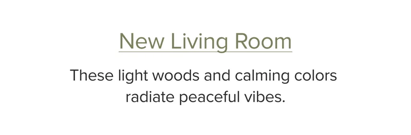 New Living Room