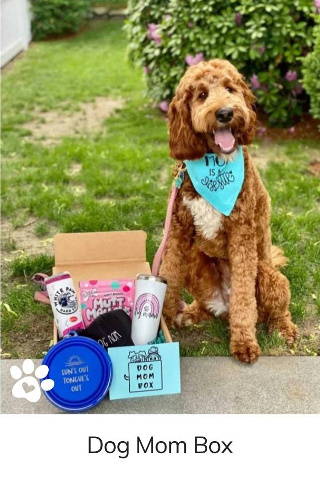 Dog Mom Box