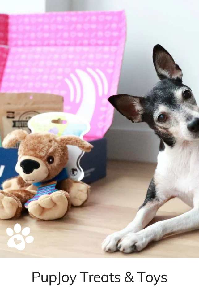 Monthly PupJoy Power Chewers Box, Treats & Toys, All Natural