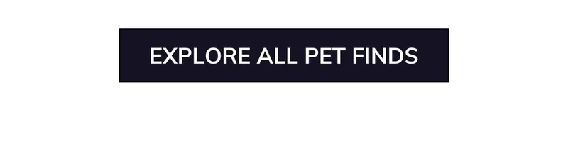 Shop All Pet and Animal Gifts