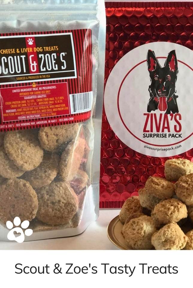 Ziva's Surprise Pack for Multiple Dog Homes