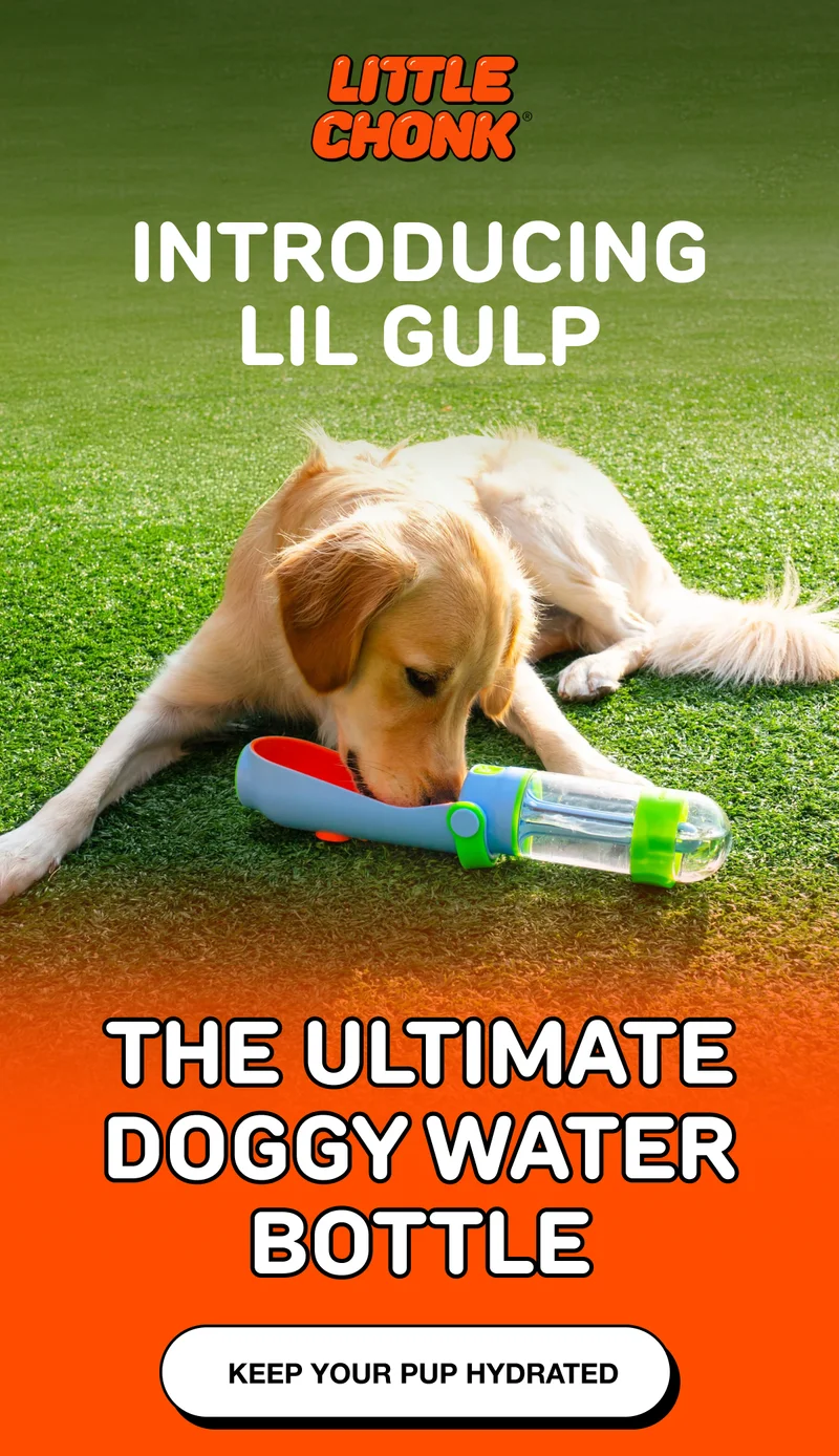 Try the ULTIMATE doggy water bottle
