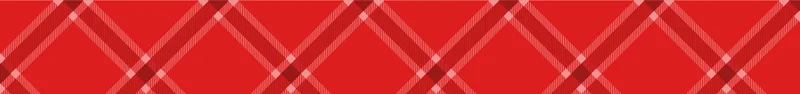 plaid banner